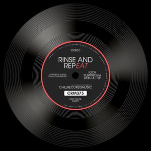 Rinse and Repeat - Riton & Kah-Lo (karaoke) 带和声伴奏 （升6半音）