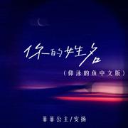 你的姓名 (仰泳的鱼中文版)