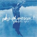 Phosphorescent专辑