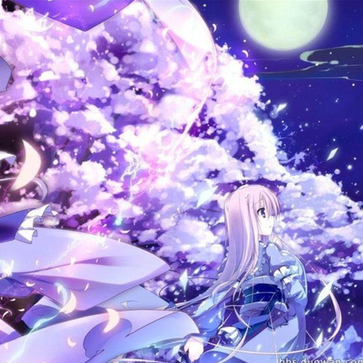 星空的记忆 试听