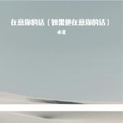 在意你的话（如果他在意你的话）专辑