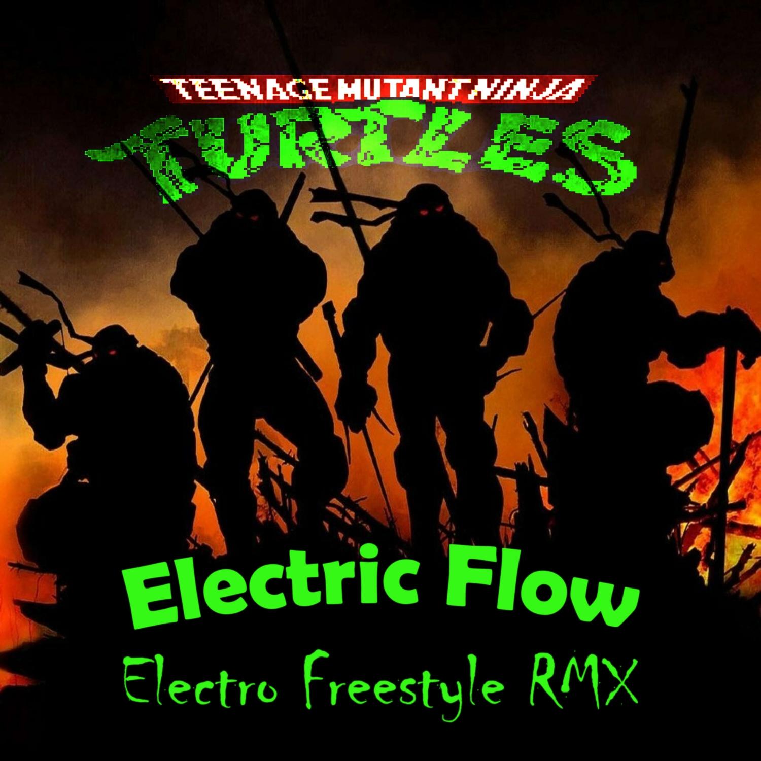 Teenage Mutant Ninja Turtles (Electro Freestyle ReMix)