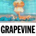 Grapevine (The Remixes)专辑