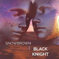 Black Knight (feat. Joan & Adrianne lenker)
