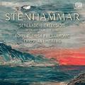 Stenhammar : Serenade