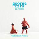 Paradise (Bakermat Remix)专辑