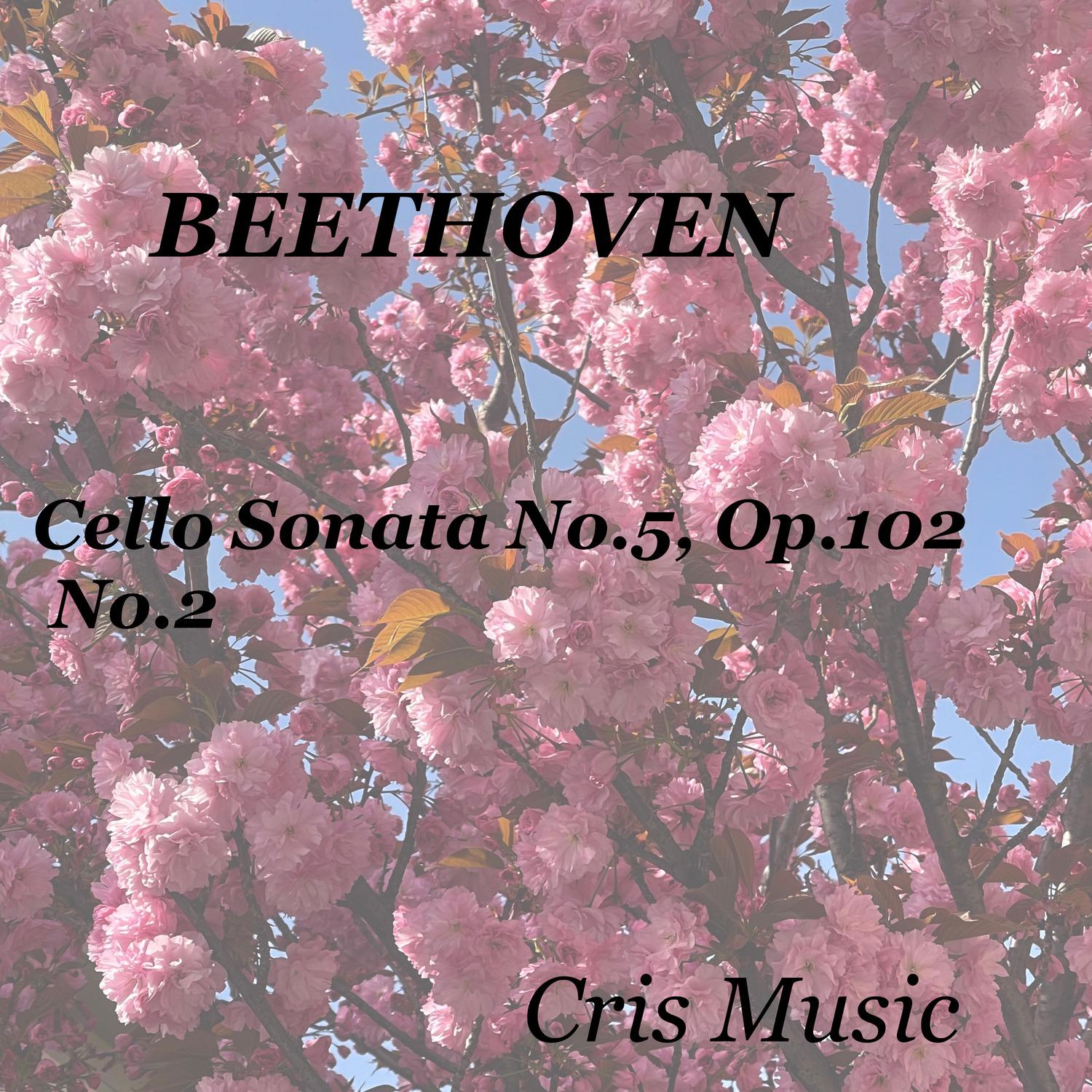 Felix Salmond - Cello Sonata No.5, Op.102, No.2, 1. Allegro con brio