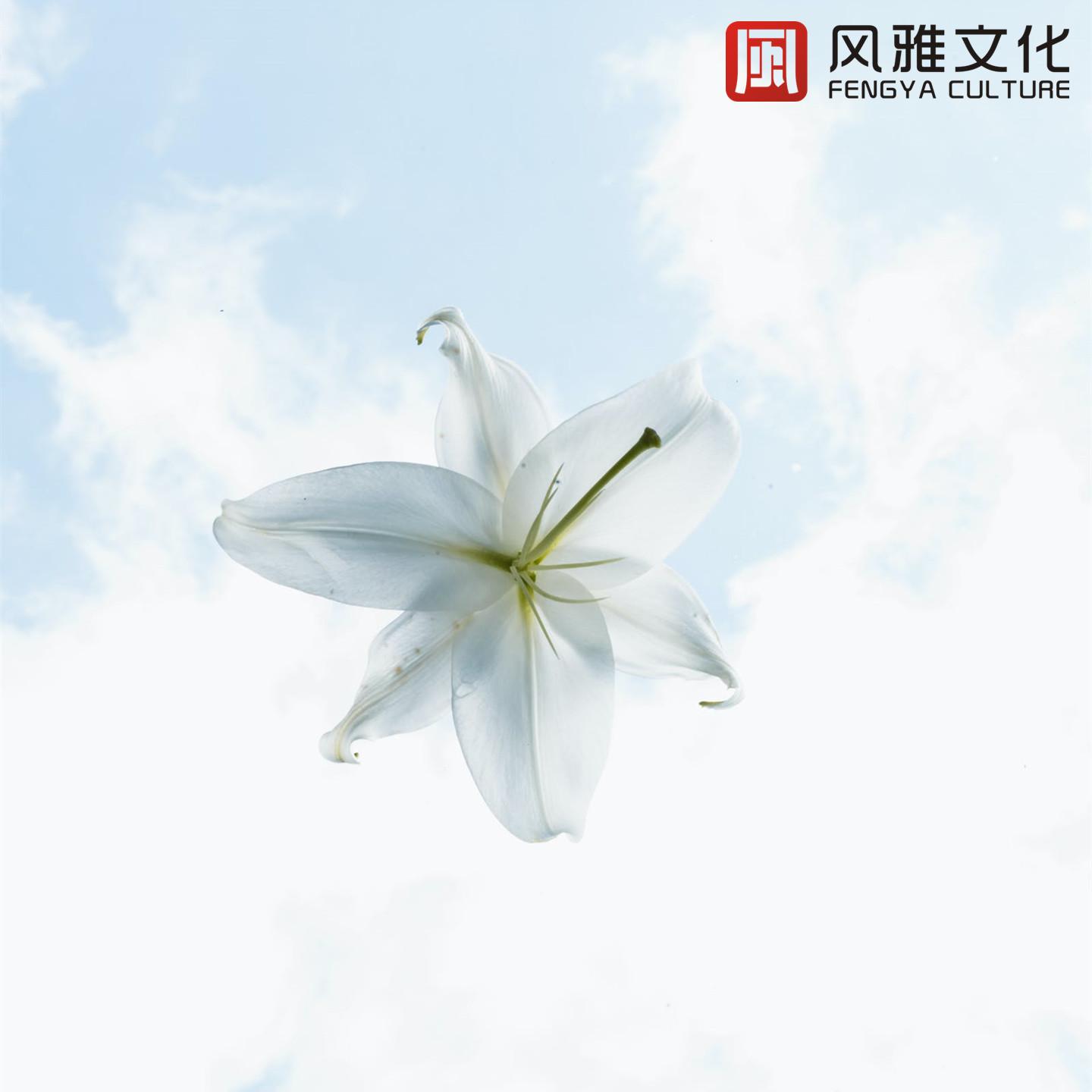 适合睡觉前听的BGM / 助眠轻音乐纯音乐
