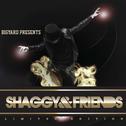 Shaggy & Friends专辑