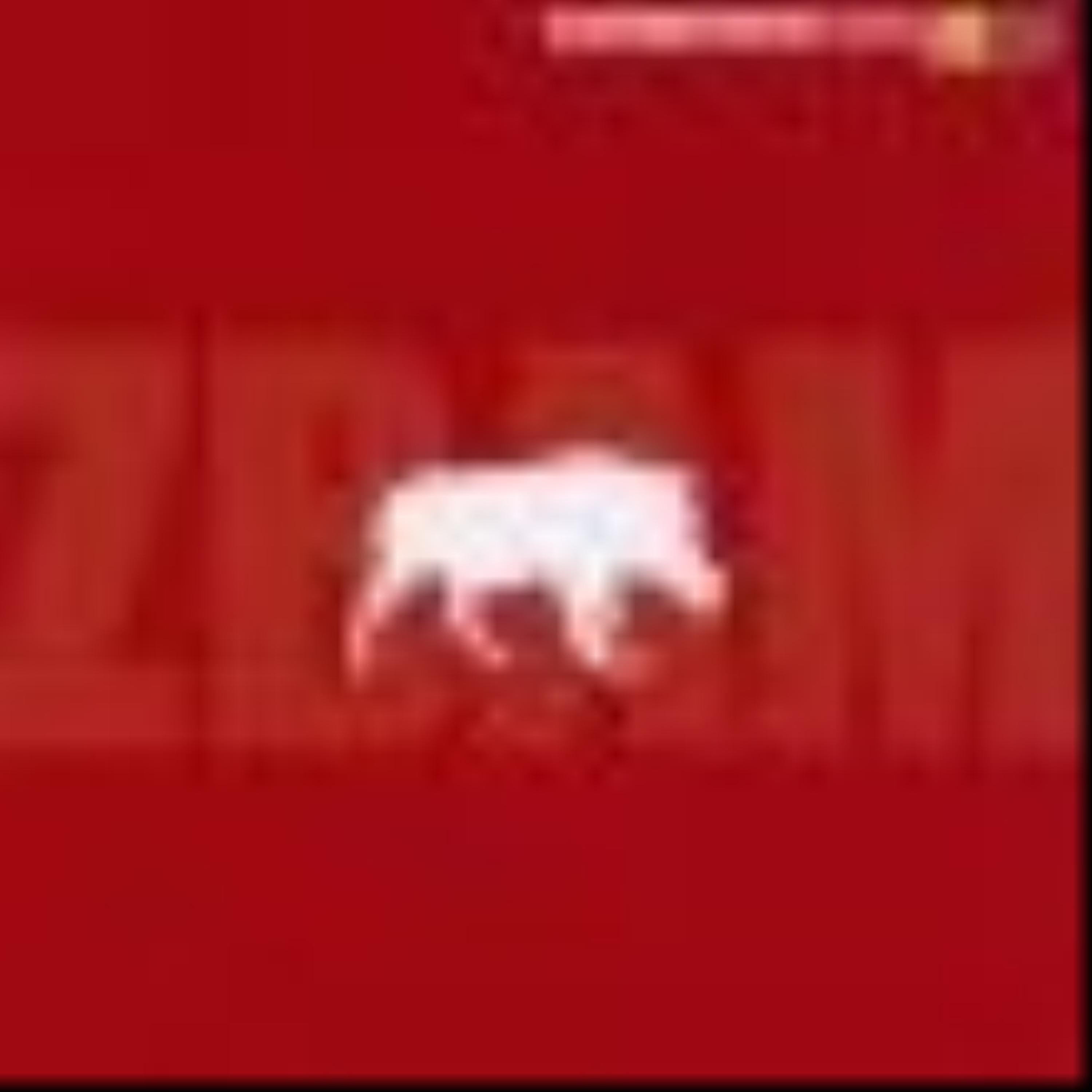 Zbam