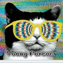 Young Forever专辑