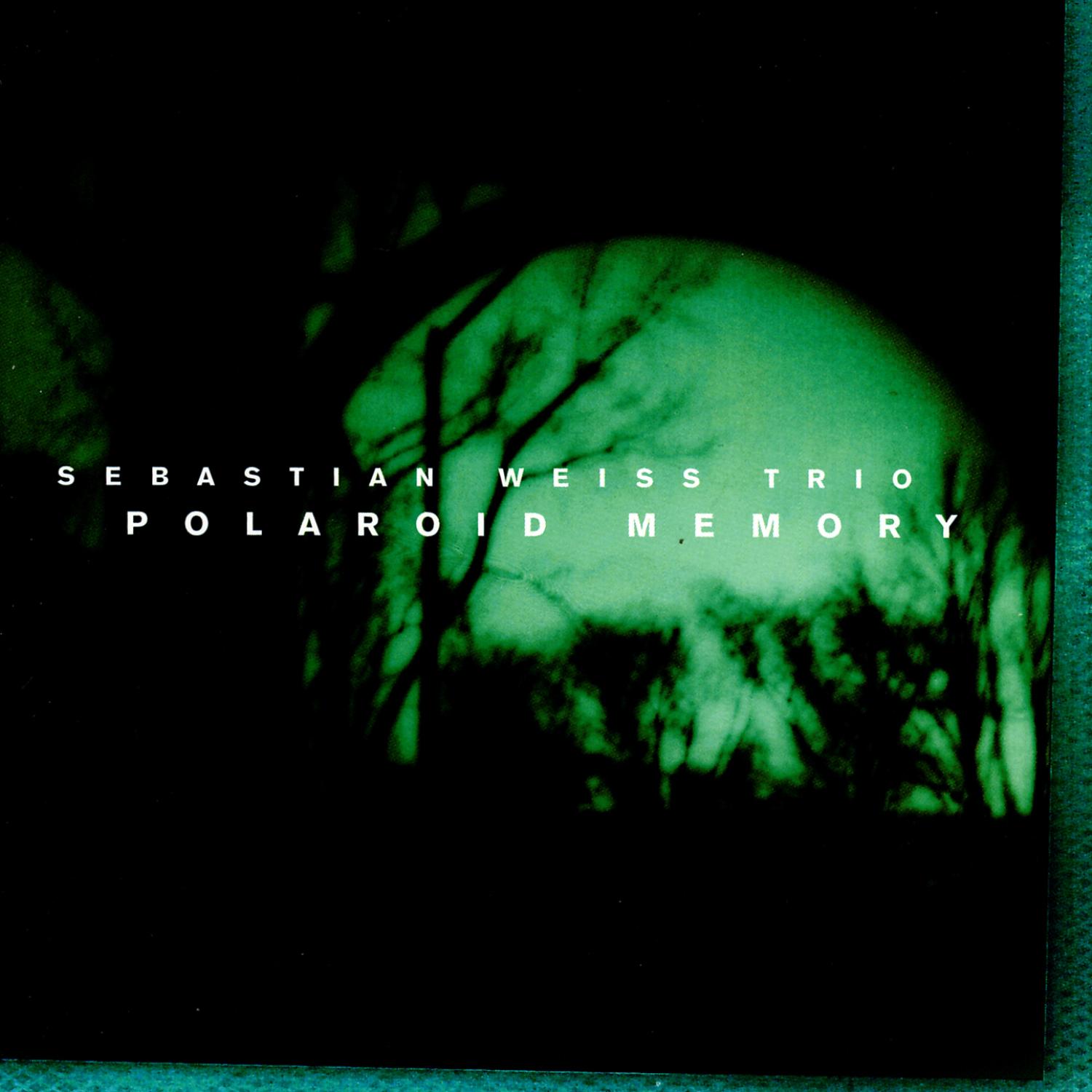 Polaroid Memory