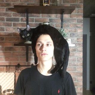 迷人的安静送给失眠的夜