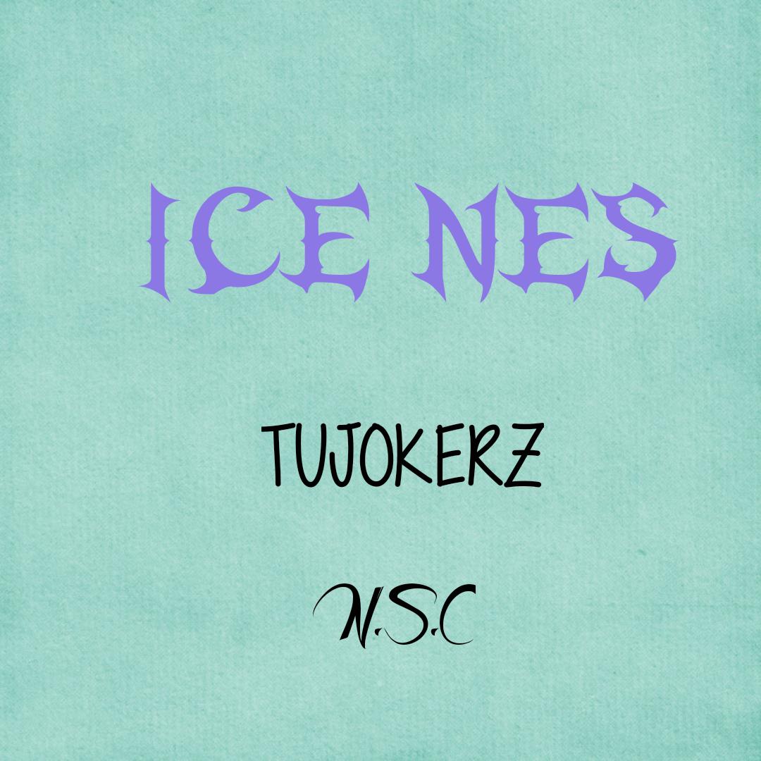 ICE NES专辑