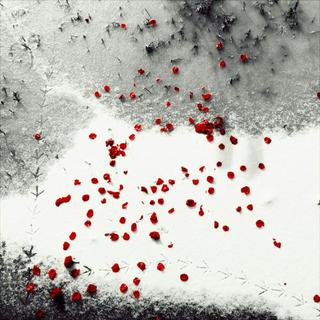 时间和旋律，让我们为之雀跃