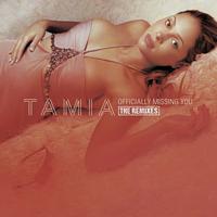 原版伴奏   Officially Missing You (remix) - Tamia[Midi Mafia Instrumental]