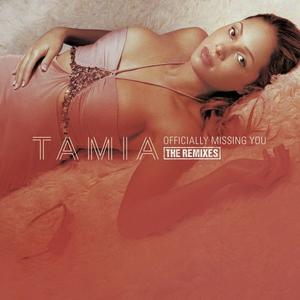 Tamia-Officially Missing  立体声伴奏 （升8半音）