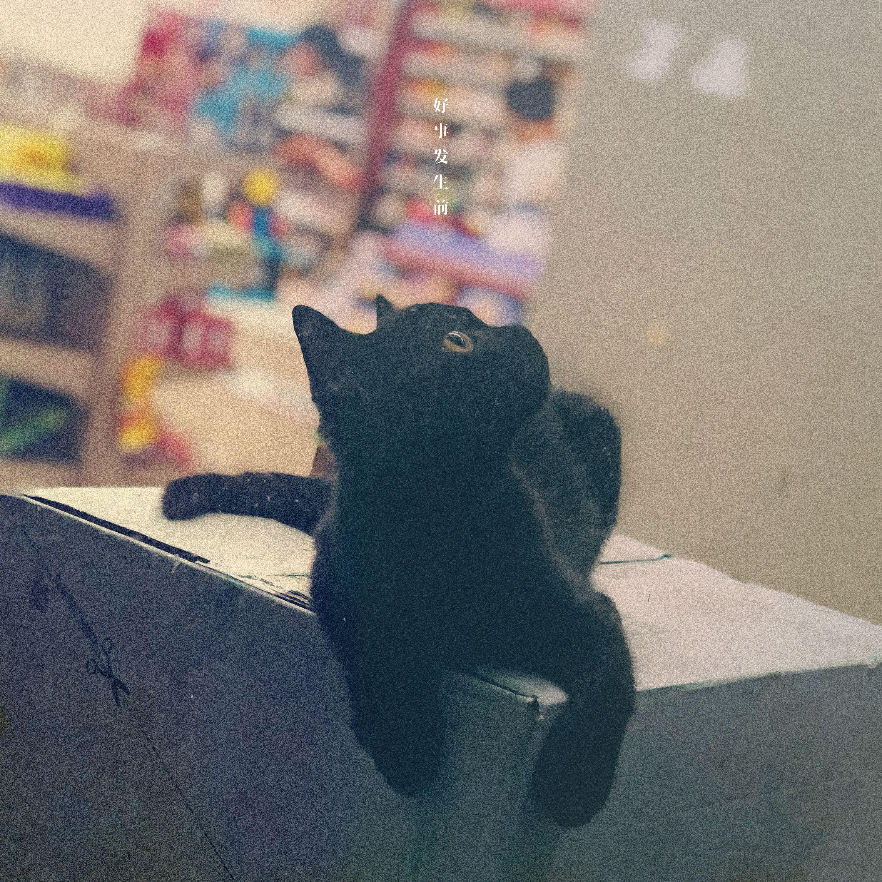好事发生前专辑