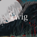 Twig