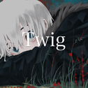 Twig专辑