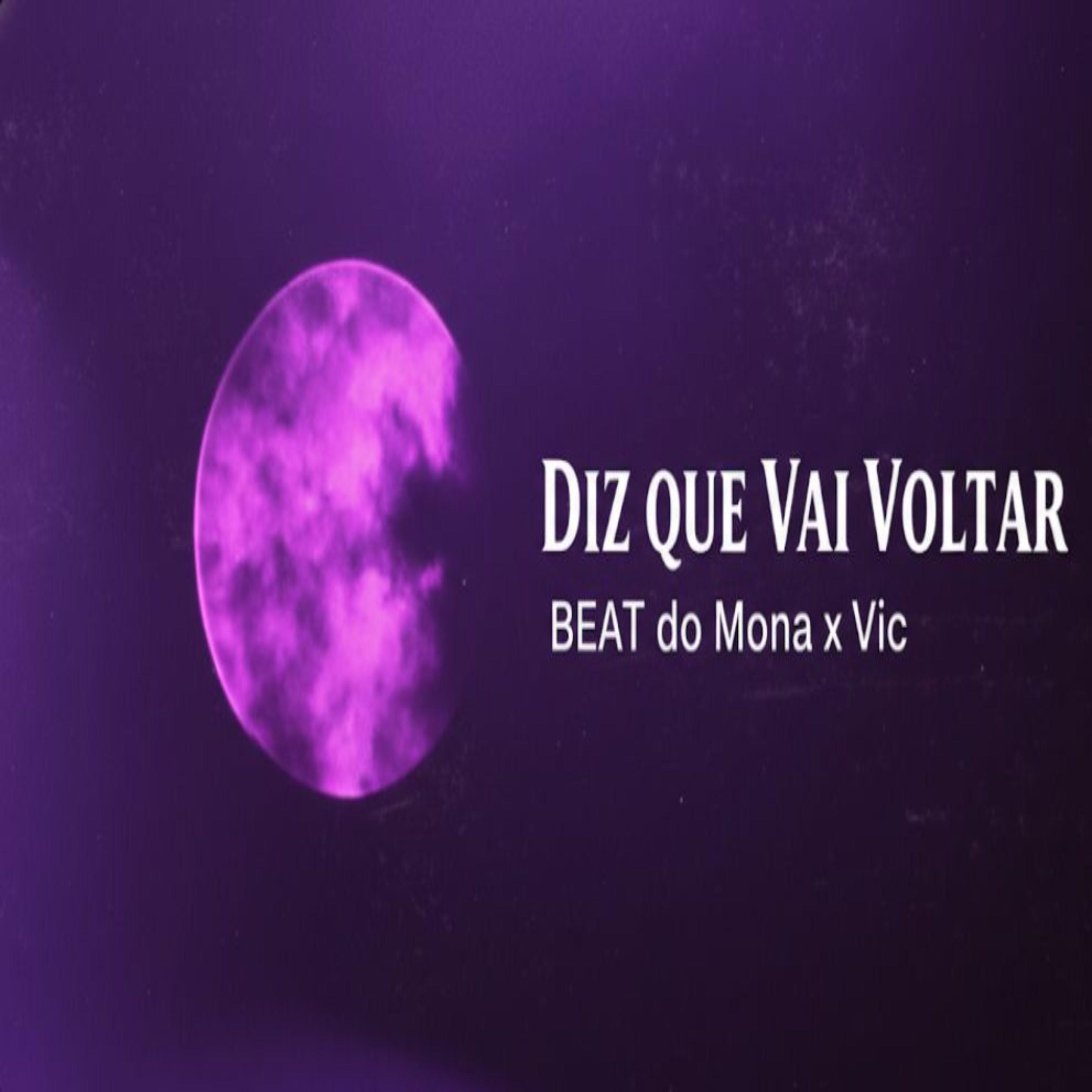 DIZ QUE VAI VOLTAR