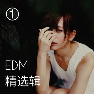 EDM精选辑 ①