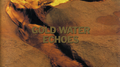 GOLD WATER~The Best of ECHOES专辑