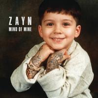 Zayn - She Don't Love Me (Official Instrumental) 原版无和声伴奏