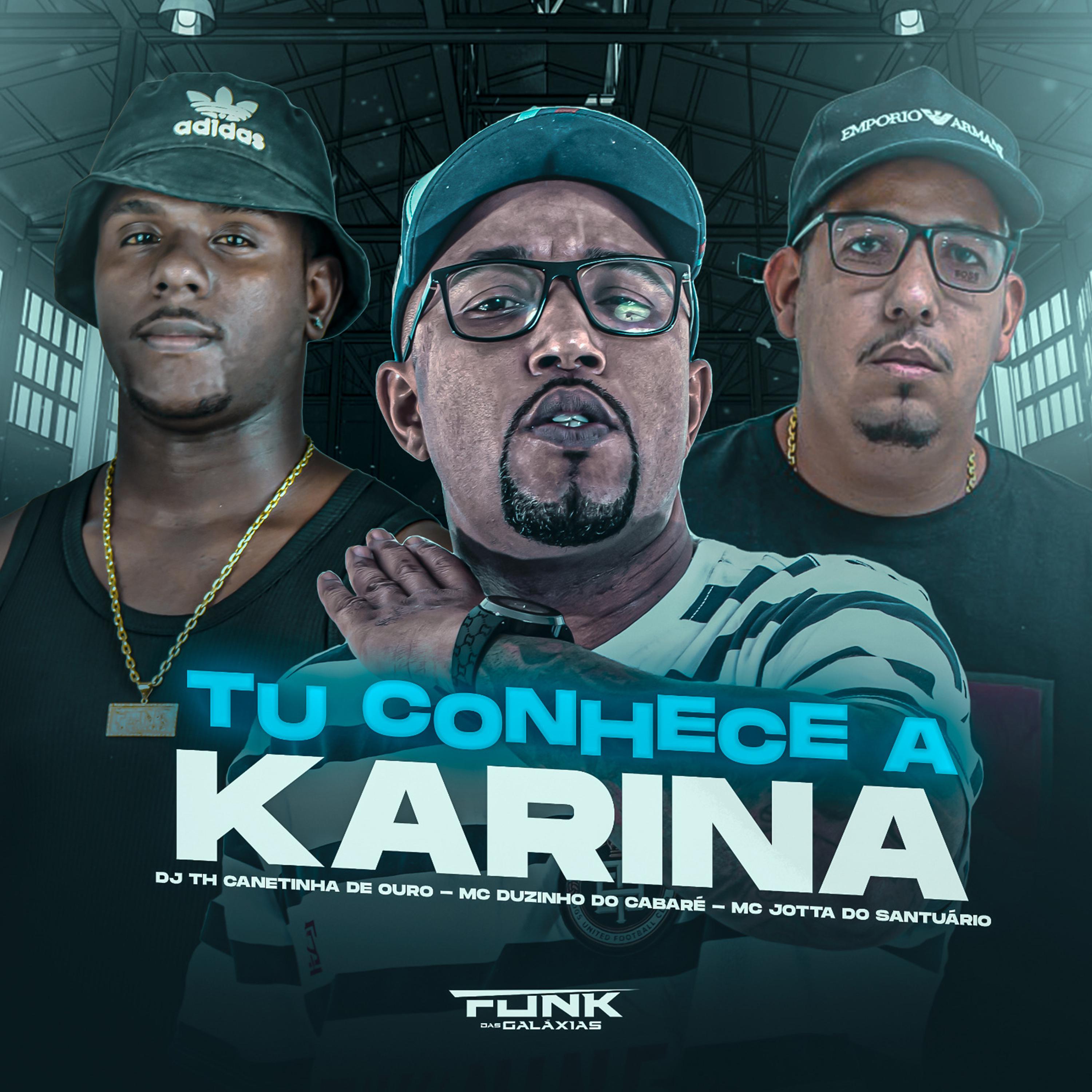 MC Duzinho do Cabaré - Tu Conhece a Karina