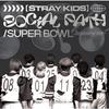 Social Path / Super Bowl -Japanese ver.-专辑