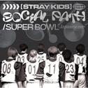 Social Path / Super Bowl -Japanese ver.-专辑