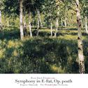 Tchaikovsky: Symphony in E flat, Op. posth专辑