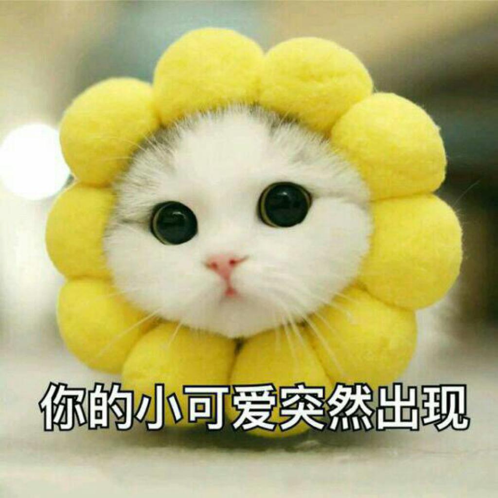 哈喽，我叫小可爱，你呢？ | 在线播放 | 网易云音乐