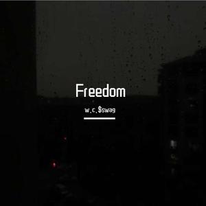Freedom (带副歌) （降8半音）