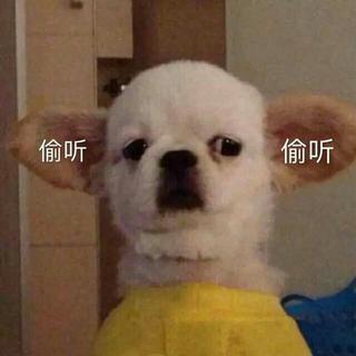 学习必备纯音乐歌单