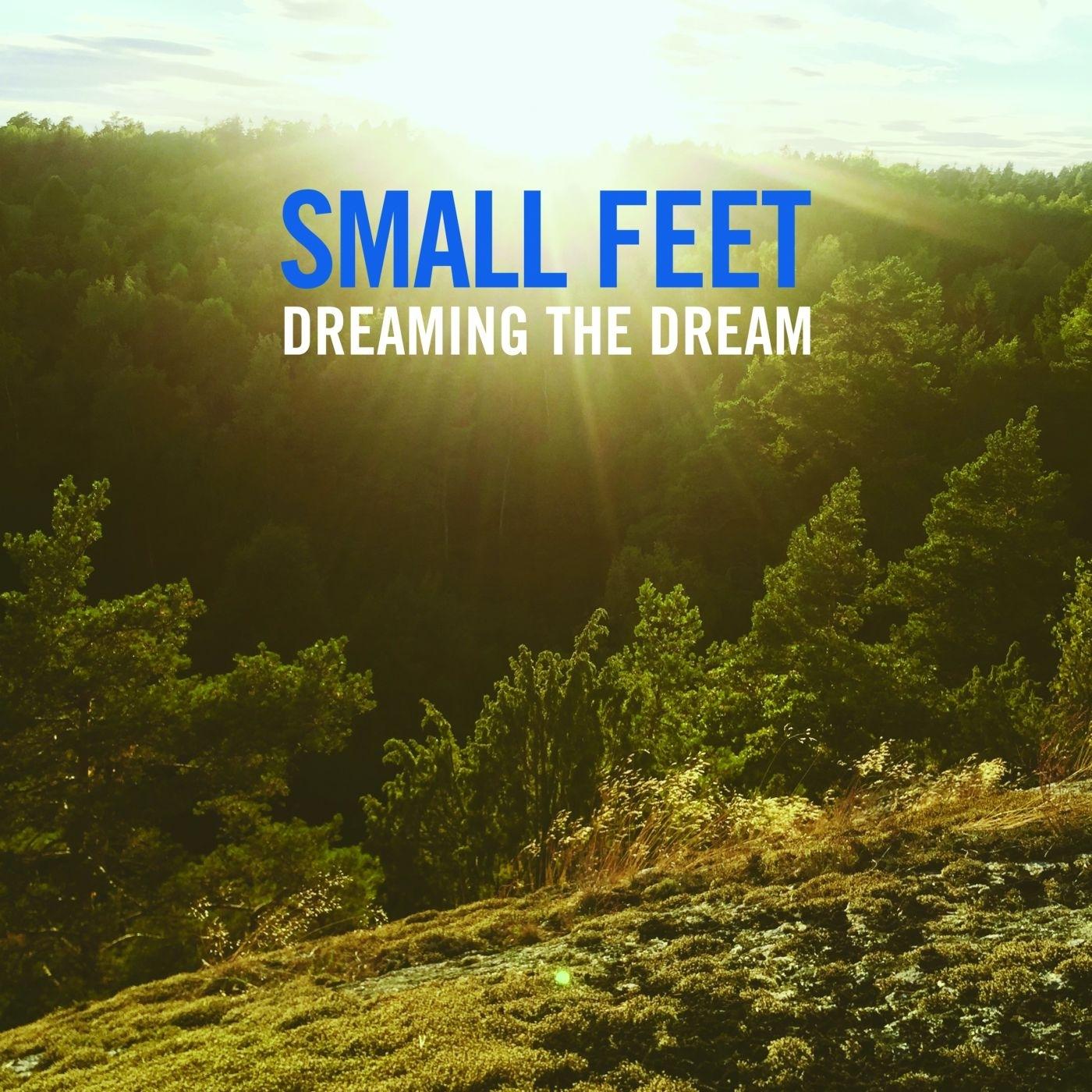 Dreaming The Dream