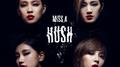 Hush专辑