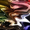 Selfish (feat. DION)专辑