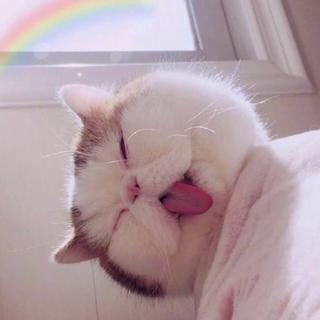 治愈华语||了解一下，拯救不开心