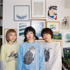 SHISHAMO