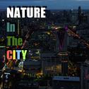 Nature in the City (Studio Version)专辑
