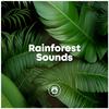 Soothing Music - Relaxing River Sounds