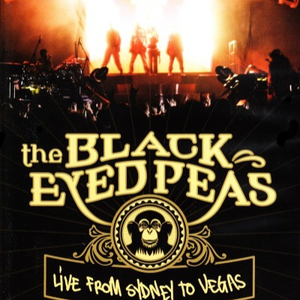 The Black Eyed Peas - Pump It （降4半音）
