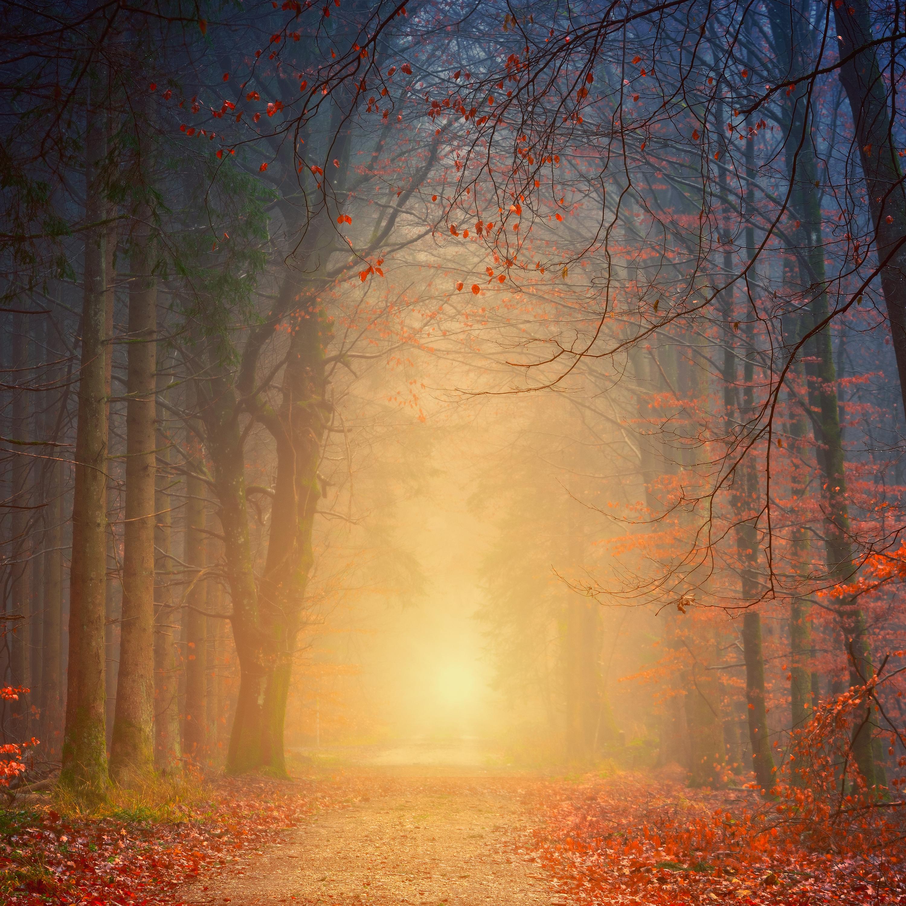 40 Spa Relaxation Music