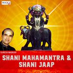 Shani Mahamantra and Shani Jaap专辑