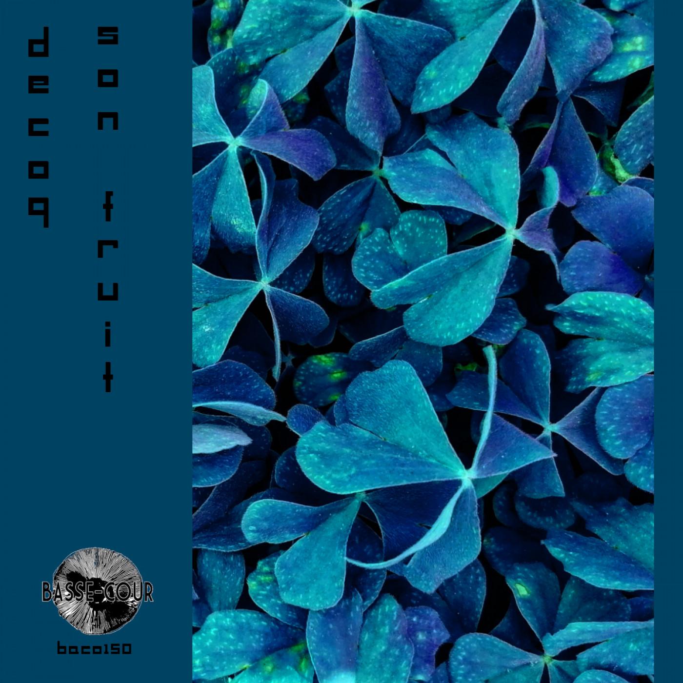 Son Fruit (Vizard Remix)