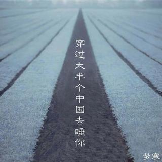 没有最奇葩，只有更奇葩/华语奇葩歌曲精选