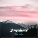 #18 Sensational Sounds for Yoga专辑