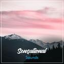 #18 Sensational Sounds for Yoga专辑