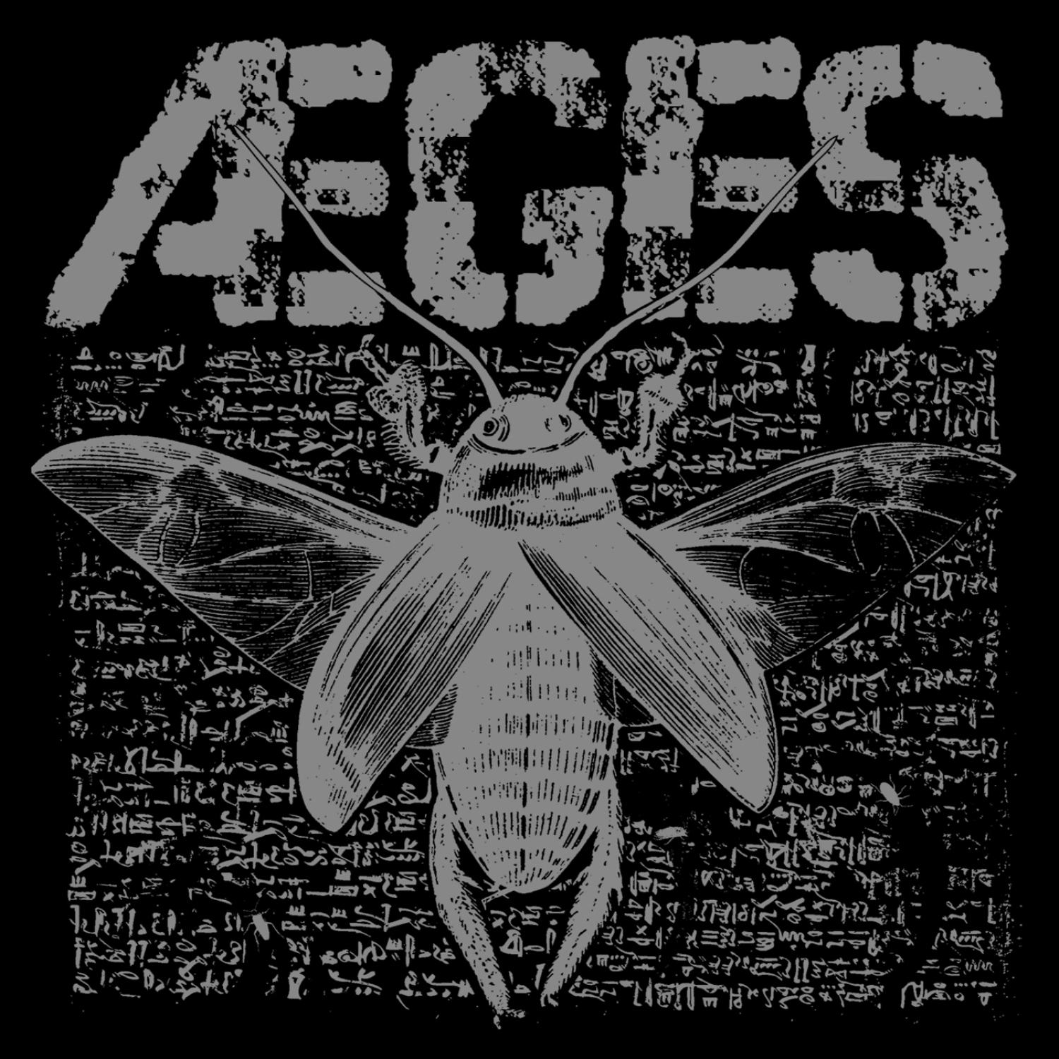 Roaches